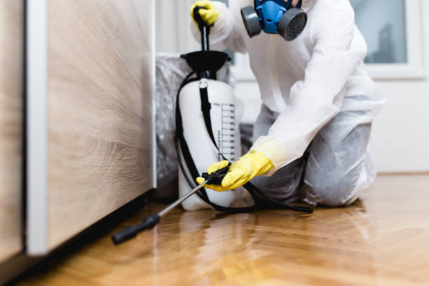  Chinle, AZ Pest Control Pros