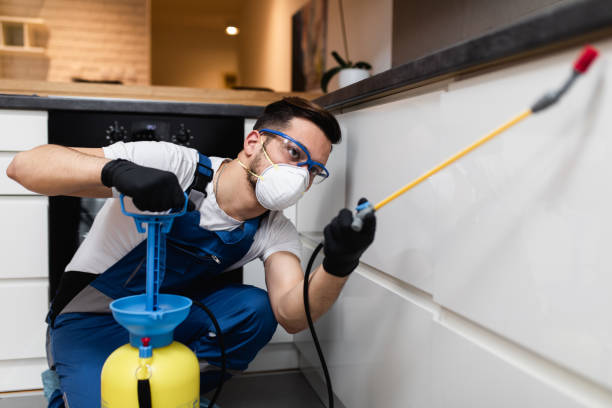 Best Pest Control for Businesses  in Chinle, AZ