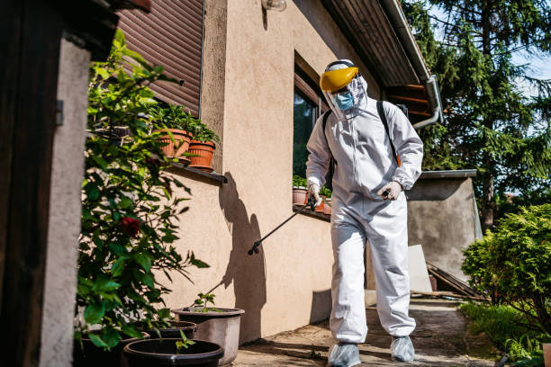 Best Cockroach Control Services  in Chinle, AZ
