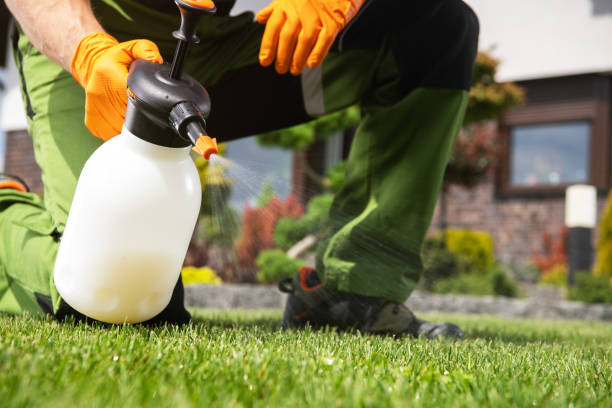 Best Commercial Pest Control Services  in Chinle, AZ