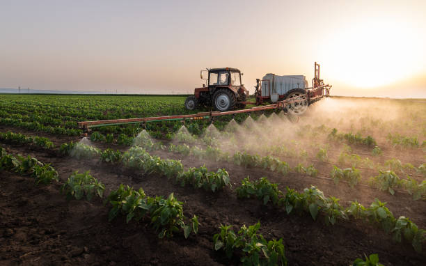 Reliable Chinle, AZ Pest Control Solutions
