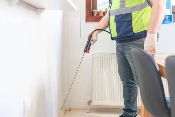 Best Best Pest Control Companies  in Chinle, AZ