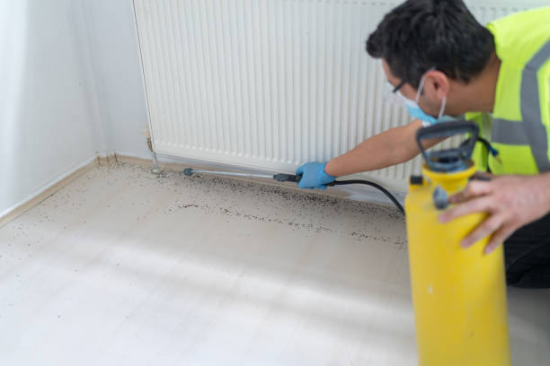 Best Pest Inspection Near Me  in Chinle, AZ